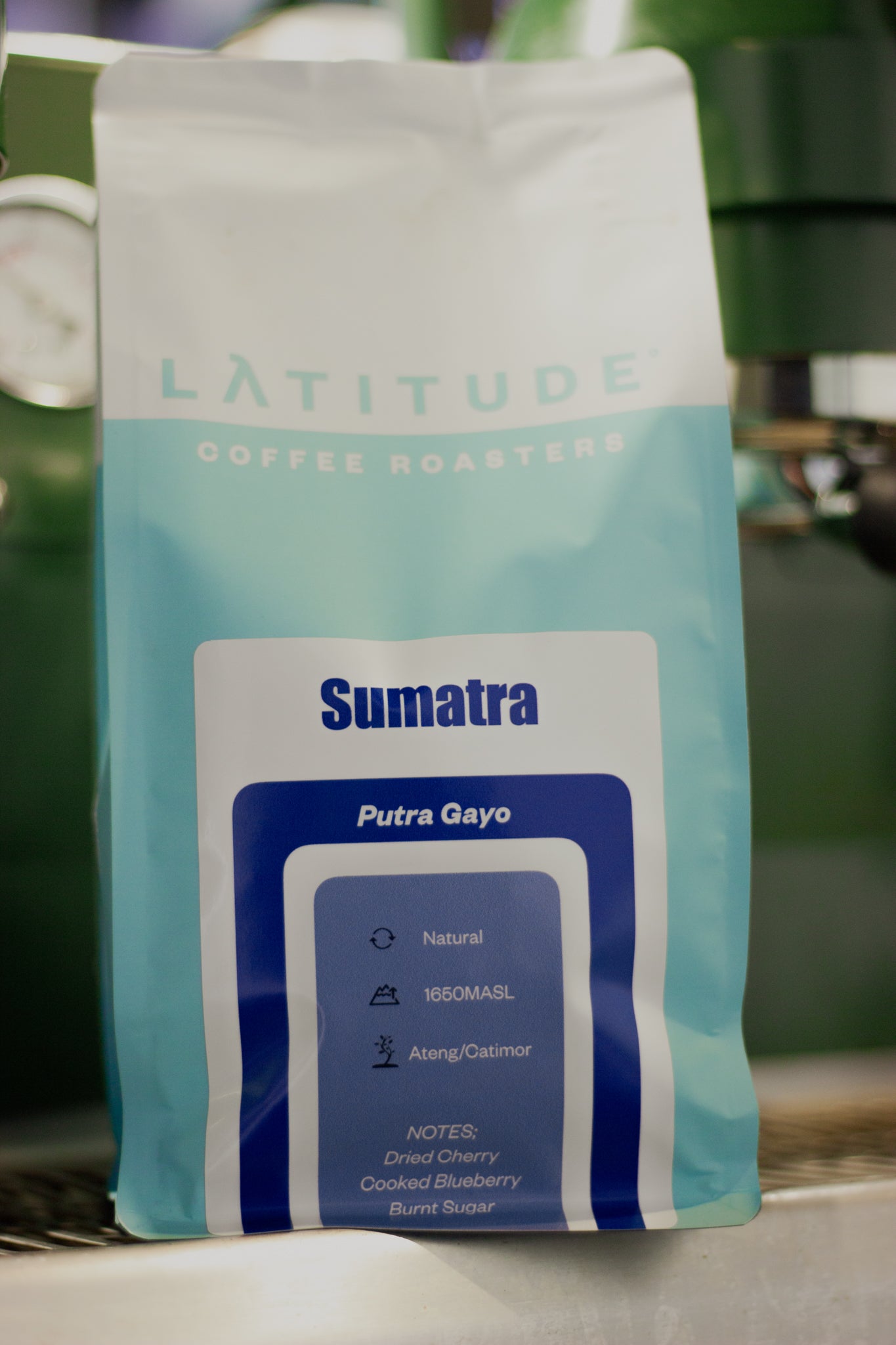 Sumatra 'Putra Gayo'